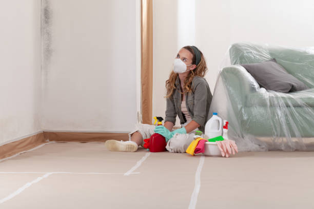 Reliable Black Mold Removal contractor in Ludington, MI by WQB Mold Removal